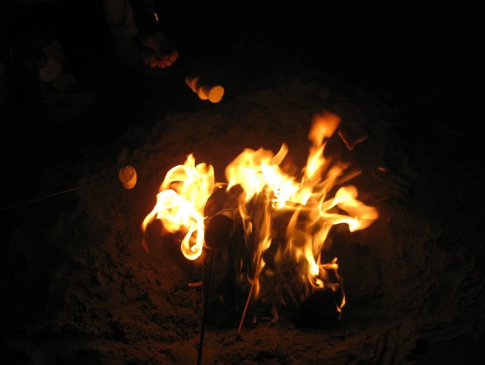 Roasting marshmallows over a beach fire